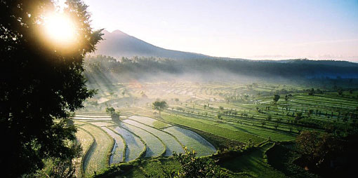 bali singaraja