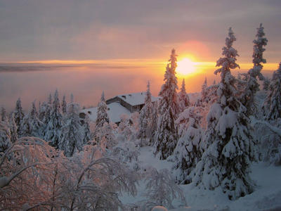 Lappföld