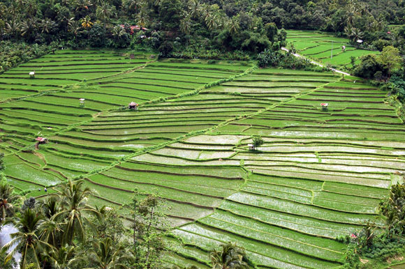 Indonézia, Bali